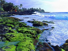 Kona Coast, Big Island, Hawaii